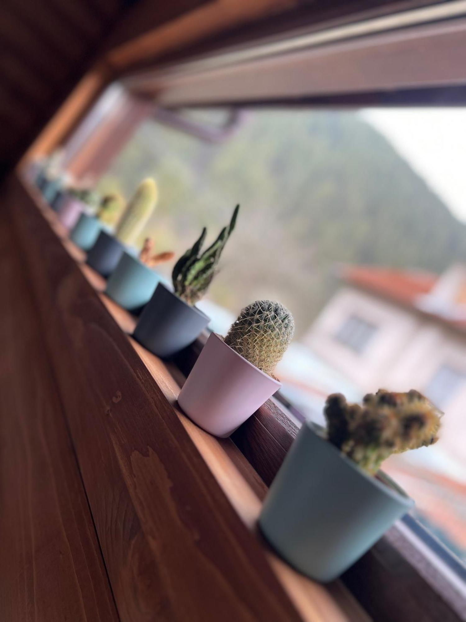 Guest House Recharge Govedartsi Dış mekan fotoğraf