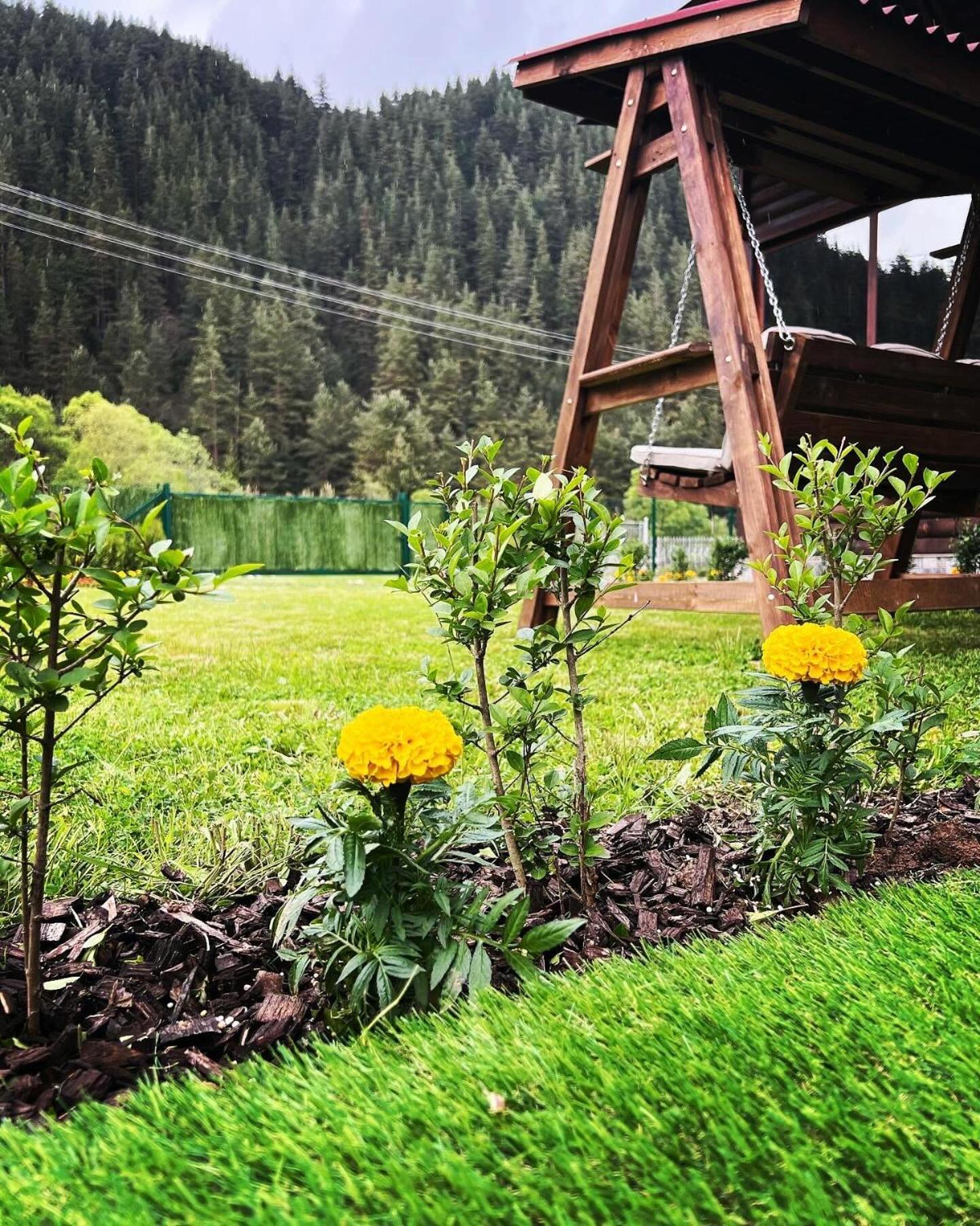 Guest House Recharge Govedartsi Dış mekan fotoğraf