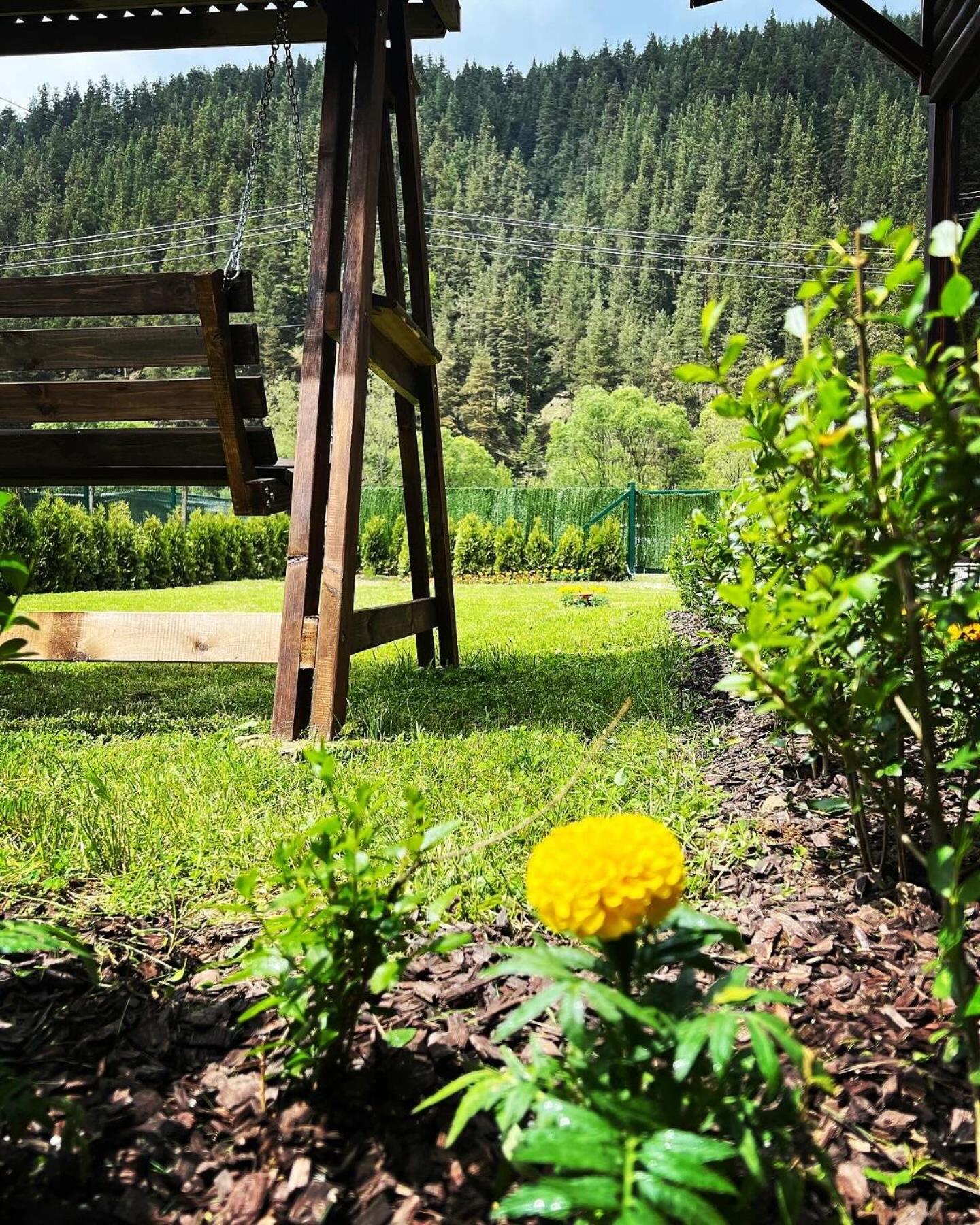 Guest House Recharge Govedartsi Dış mekan fotoğraf