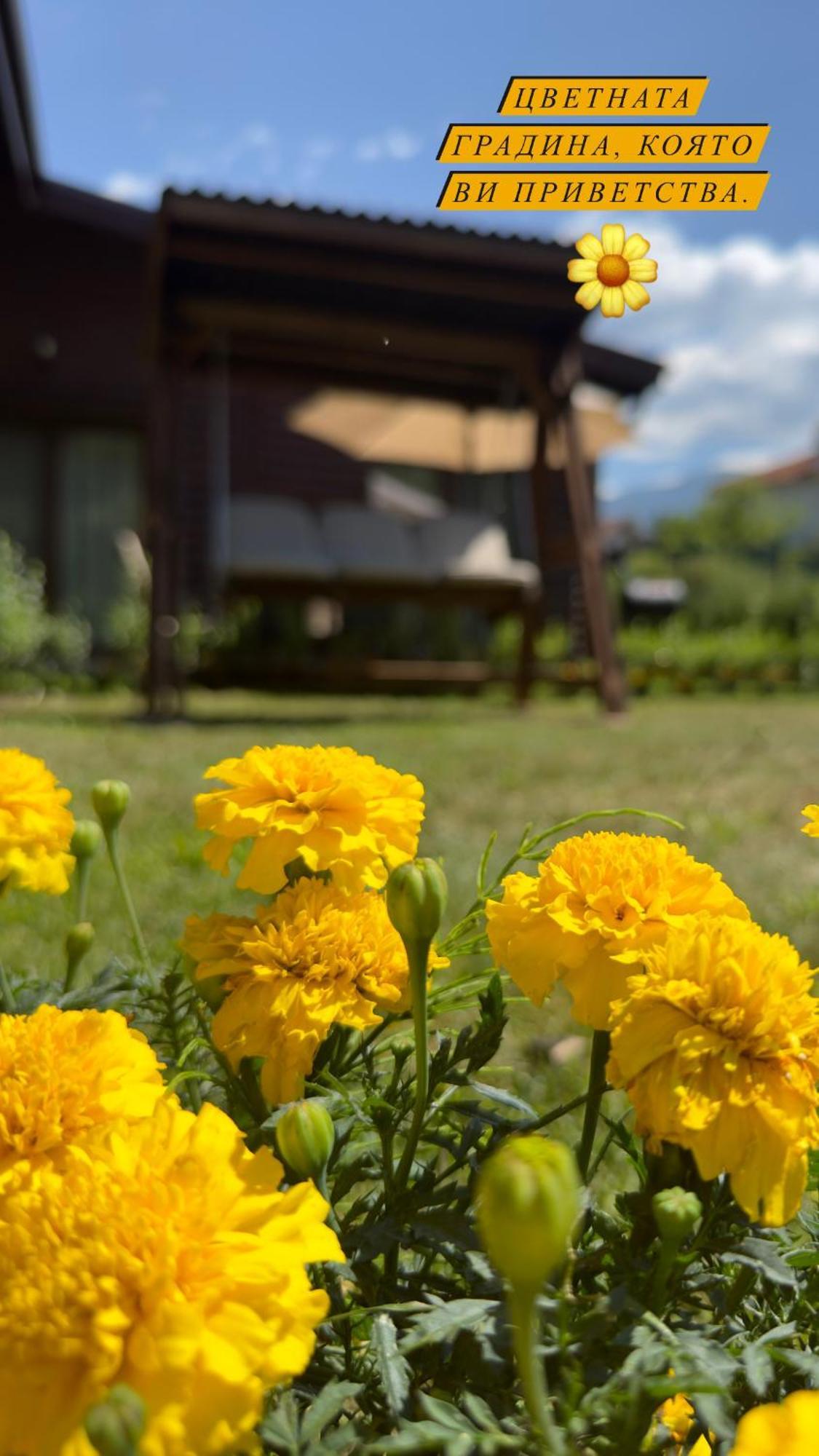 Guest House Recharge Govedartsi Dış mekan fotoğraf